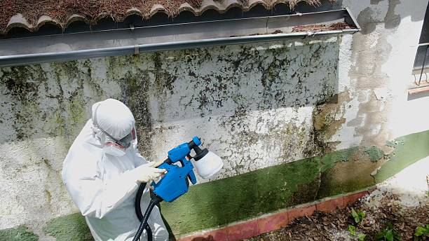Top rated local Attic Mold Remediation specialists in Elizabethville, PA